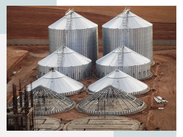 Строительство зерновых силосов в Долгопрудном